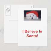 Westie in een kerstmuts feestdagenkaart (Voorkant / Achterkant)