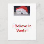 Westie in een kerstmuts feestdagenkaart (Voorkant)