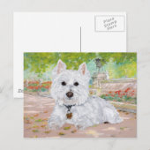Westie in het park briefkaart (Voorkant / Achterkant)