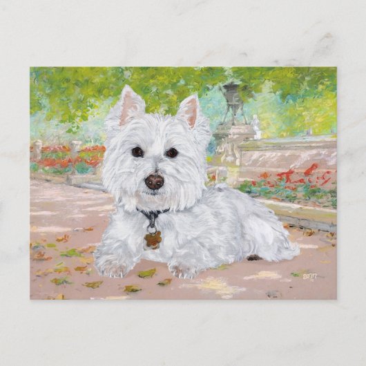 Westie in het park briefkaart (Voorkant)