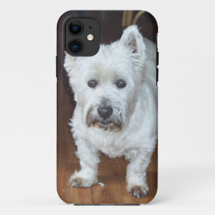 Westie iPhone-hoesje bruin Case-Mate iPhone Case
