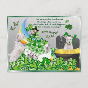 Westie je hebt e-mail - St Patrick's Day Version Briefkaart