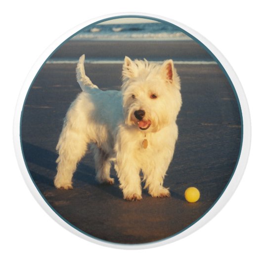Westie Keramische Knop (Voorkant)