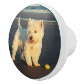 Westie Keramische Knop (Rechts)