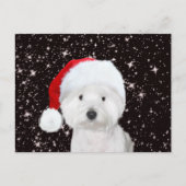 Westie Kerstmis Briefkaart (Voorkant)
