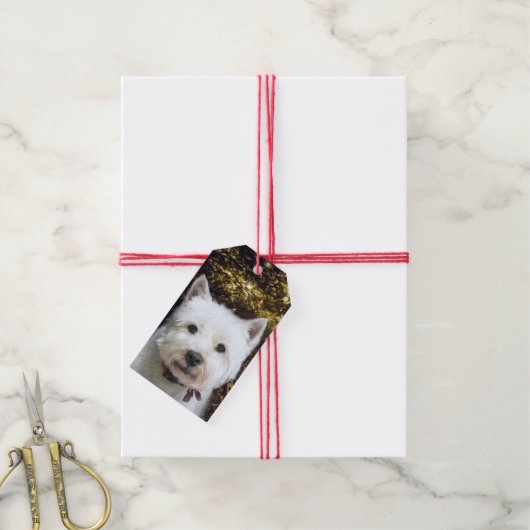 Westie Kerstmis Cadeaulabel (Met Touw)