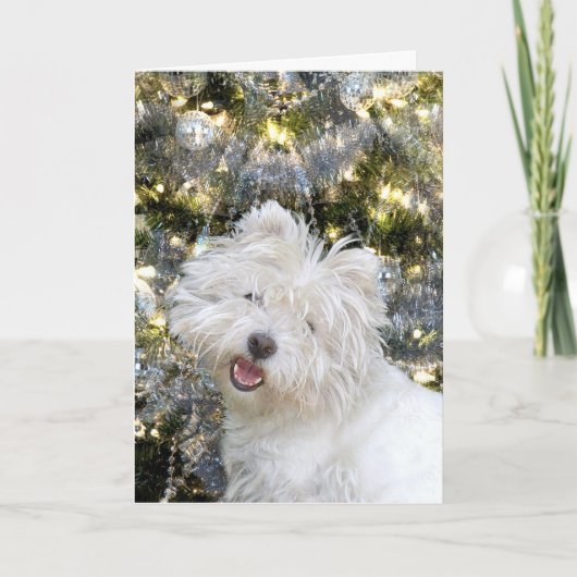 Westie Kerstmis Feestdagen Kaart (Voorkant)