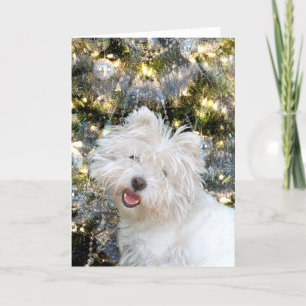 Westie Kerstmis Feestdagen Kaart
