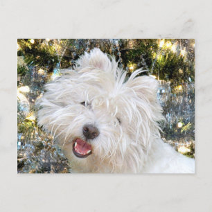 Westie Kerstmis Feestdagenkaart