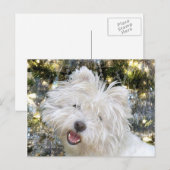Westie Kerstmis Feestdagenkaart (Voorkant / Achterkant)