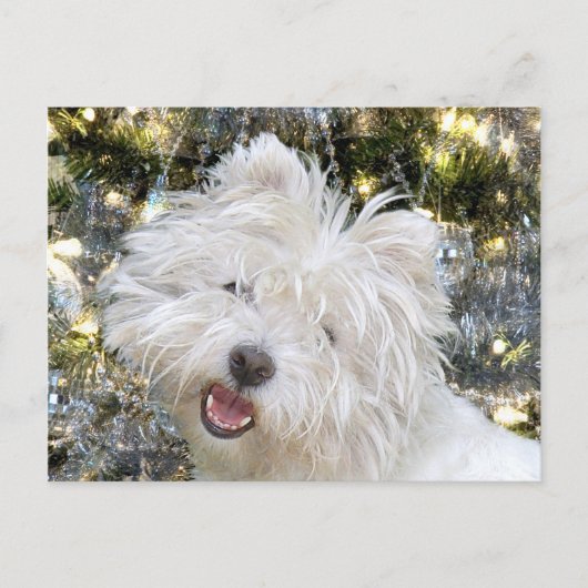Westie Kerstmis Feestdagenkaart (Voorkant)