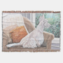 Westie kijkt uit een raam