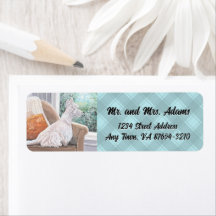 Westie kijkt uit een raam