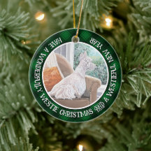 Westie kijkt uit een raam