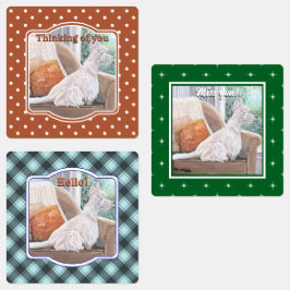 Westie kijkt uit een raam labels