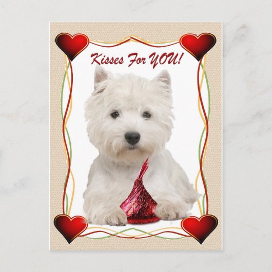 Westie Kisses voor jou Briefkaart (Voorkant)