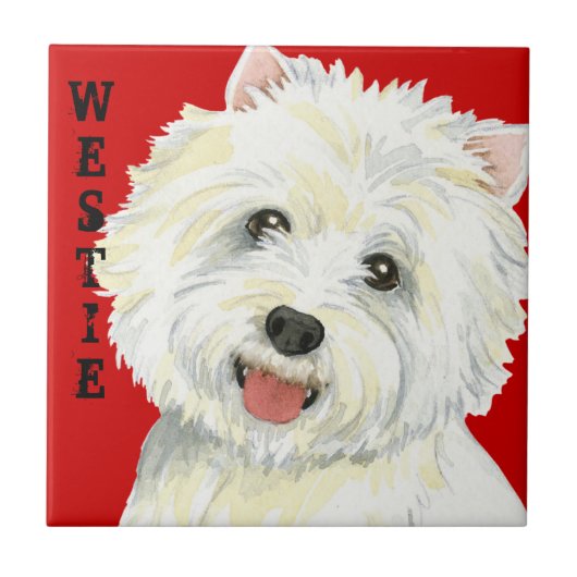 Westie-kleurenblok Tegeltje (Voorkant)