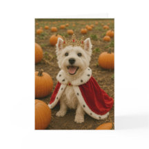Westie Koningin met Halloween