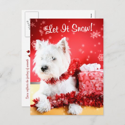 Westie laat het sneeuwen Groet #3 Feestdagenkaart (Voorkant / Achterkant)