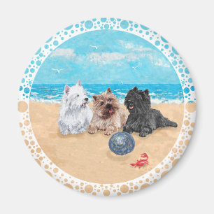 Westie met Cairn Terriërs op het Strand Magneet