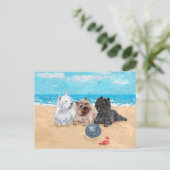 Westie met Caïro Terriers bij het strand Briefkaart (Staand voorkant)