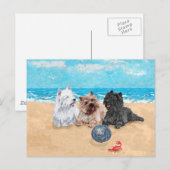 Westie met Caïro Terriers bij het strand Briefkaart (Voorkant / Achterkant)