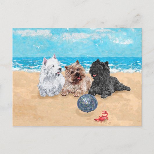 Westie met Caïro Terriers bij het strand Briefkaart (Voorkant)