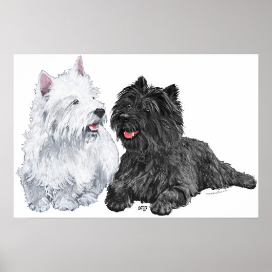 Westie met een Black Cairn Terrier Poster (Voorkant)