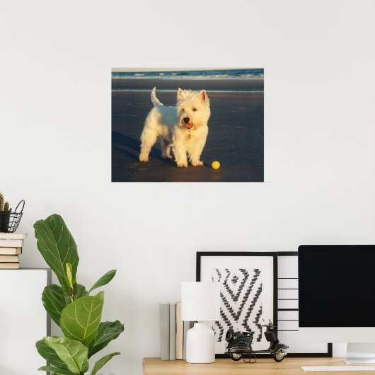 Westie met een geel Poster (Thuiskantoor)