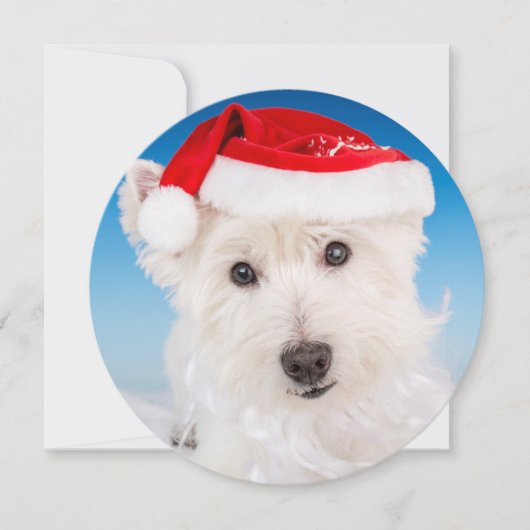 Westie met Kerstmannen hoed en baard Feestdagenkaart (Voorkant)