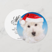 Westie met Kerstmannen hoed en baard Feestdagenkaart (Voorkant / Achterkant)
