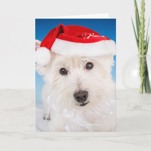 Westie met kerstmuts en baard feestdagen kaart (Voorkant)