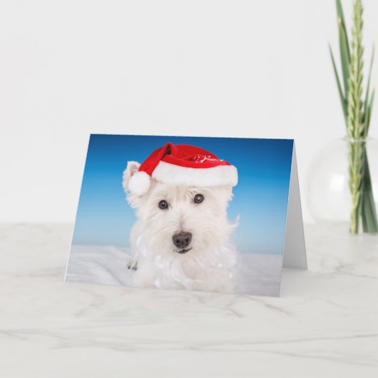 Westie met kerstmuts en baard feestdagen kaart (Voorkant)