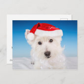 Westie met kerstmuts en baard feestdagenkaart (Voorkant / Achterkant)