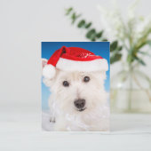Westie met kerstmuts en baard feestdagenkaart (Staand voorkant)