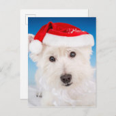 Westie met kerstmuts en baard feestdagenkaart (Voorkant / Achterkant)