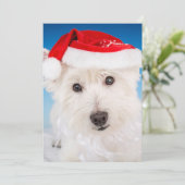 Westie met kerstmuts en baard feestdagenkaart (Staand voorkant)