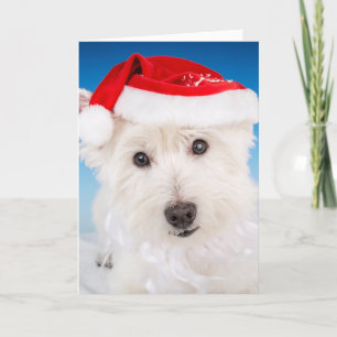 Westie met Santa Hat en Bard Feestdagen Kaart
