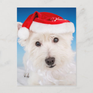 Westie met Santa Hat en Bard Feestdagenkaart