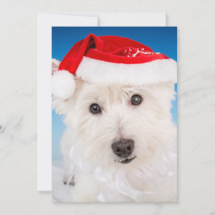Westie met Santa Hat en Bard Feestdagenkaart