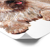 Westie met twee Caïro Terriers Poster (Hoek)