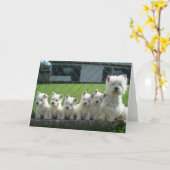 Westie Moeder en Puppies Kaart (Gele Bloem)