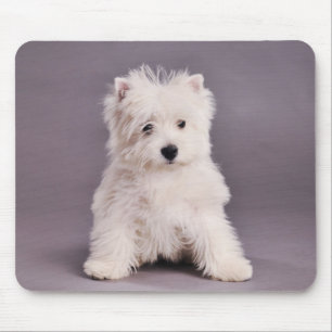 Westie mousepad muismat