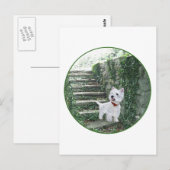 Westie op de Ivy Steps Briefkaart (Voorkant / Achterkant)