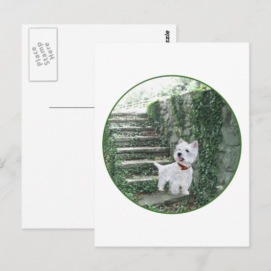 Westie op de Ivy Steps Briefkaart (Voorkant / Achterkant)