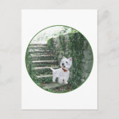 Westie op de Ivy Steps Briefkaart (Voorkant)