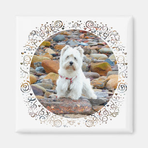 Westie op de Rocks Magneet
