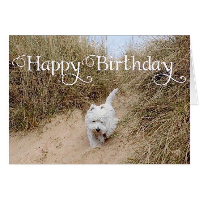 Westie op de zandduinen (Voorkant Horizontaal)