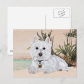 Westie op het strand briefkaart (Voorkant / Achterkant)