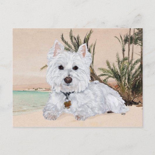 Westie op het strand briefkaart (Voorkant)